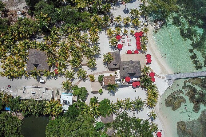 Catamaran Platinum to Isla Mujeres, Snorkel, Buffet and Open Bar - The Experience in a Nutshell