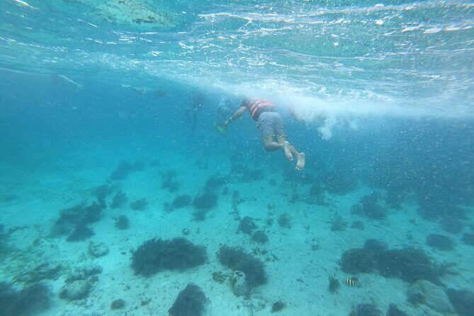 Catamaran Sail with Snorkeling and Beach Club of Isla Mujeres - Playa Norte and the Beach Club: Food and Free Time