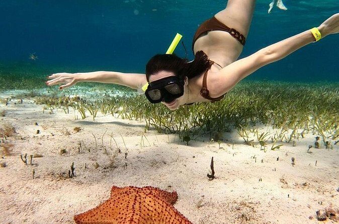 Catamaran Sky Tour in Cozumel - Overall Value and Who It Suits