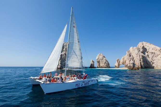 Catamaran Snorkel at Los Cabos! Gorgeous Snorkel & Party + Round Transportation - What We Loved About This Tour