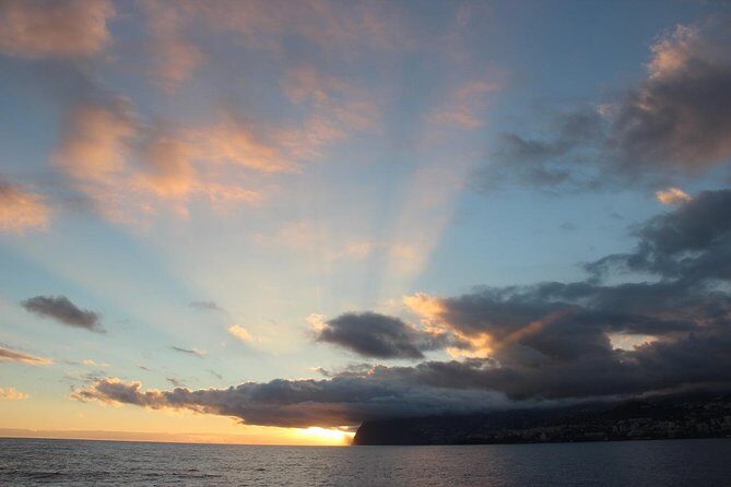 Catamaran Sunset Cruise from Funchal - Marine Life and Wildlife Sightings