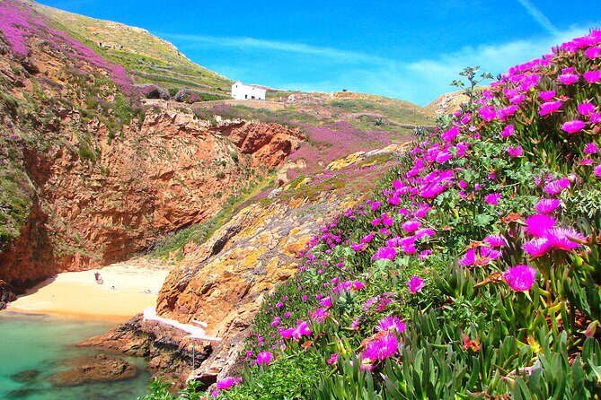 Catamaran trip to Berlengas Island + visit to the caves - Final Thoughts: Is It Right for You?