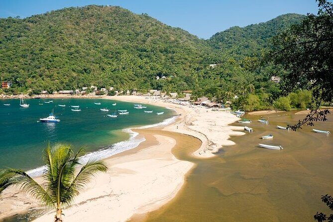 Catamaran Yelapa Beach Tour with Snorkeling, Food and Open Bar - The Basic Format: What the Tour Offers