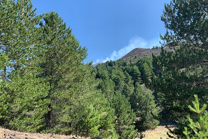 Catania: Etna & Food Jeep/Van Tour - An In-Depth Look at the Tour