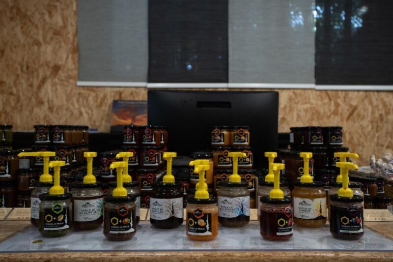 Catania: Etna Morning Excursion with Tasting and Pickup - Key Points