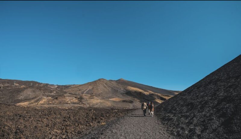 Catania: Etna Morning Excursion with Tasting and Pickup - What Is the Experience Like?