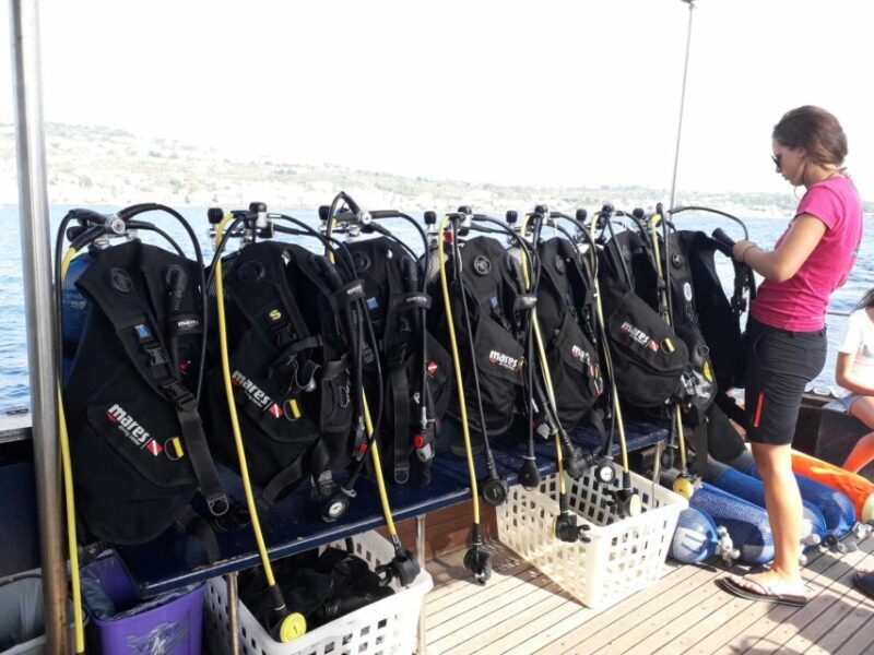 Catania: Gulf Scuba Diving Tour with Marine Biologist - FAQ