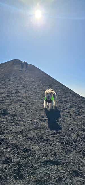 Catania: Morning tour of Etna with a visit to the Valle del Bove - Final Thoughts