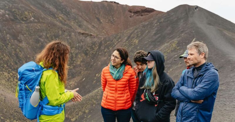 Catania: Mount Etna Morning or Sunset Day Trip with Tasting - Transport and Group Size