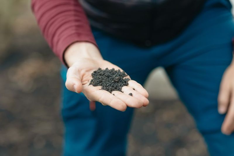 Catania: Mount Etna Morning or Sunset Day Trip with Tasting - How hard is the trek really?