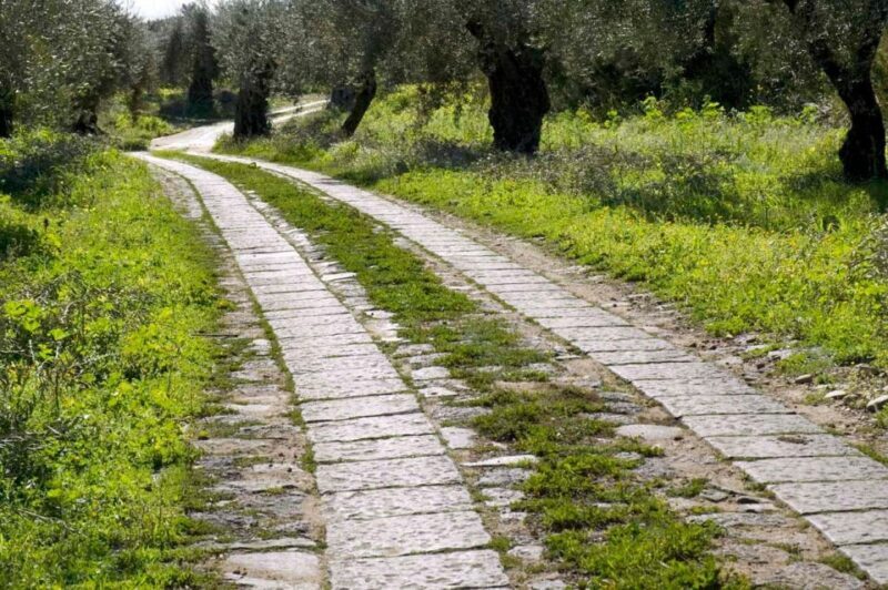 Catania: Pozzo di Gaspare Farm Guided Tour with Tastings - Exploring the Pozzo di Gaspare Farm: A Taste of Sicilian Agriculture