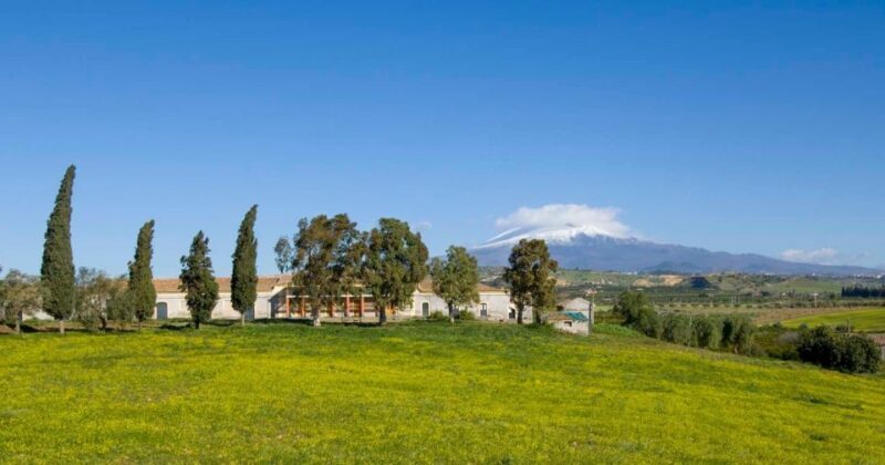 Catania: Pozzo di Gaspare Farm Guided Tour with Tastings - Who Would Love This?