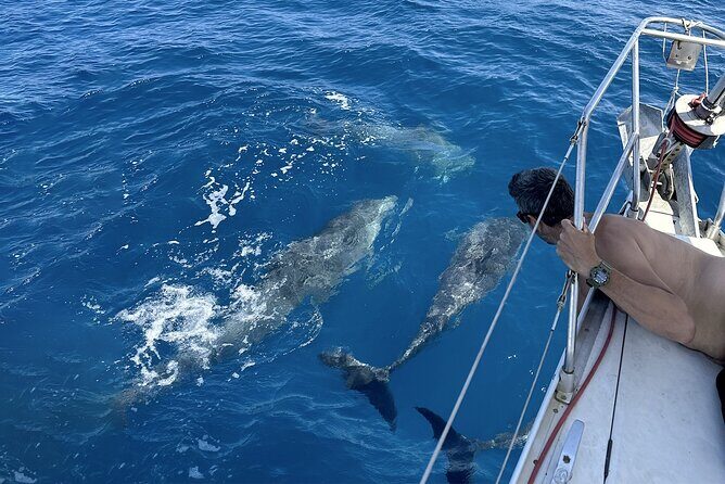 Catania: Sail Cyclops Coast by Boat and Enjoy a Sicilian Aperitif - Practical Considerations