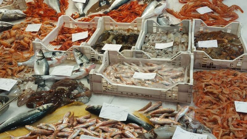 Catania Street Food Tour: Fish Market & City Centre - Key Points