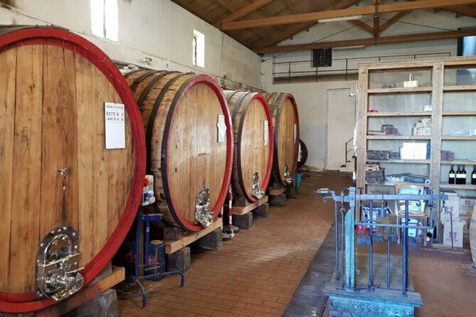 Catania: Wine Tour - Starting Point and Meeting Logistics