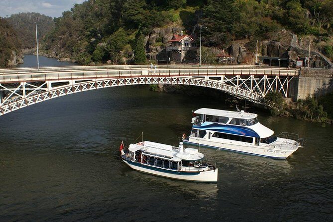 Cataract Gorge Cruise 3:30 pm - The Tour Experience: What to Expect