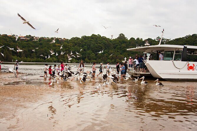 Catch a Crab Tour with Optional Seafood Lunch - Starting Out: Catch a Crab on the Tweed River