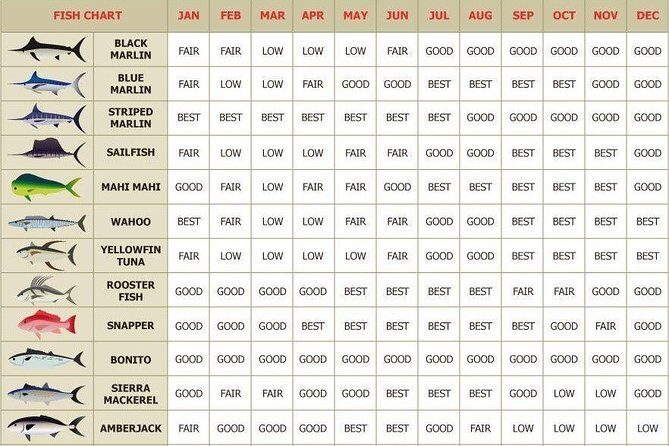 Catch the big one in Cabo! All inclusive fishing! - How Does It Compare in Value?