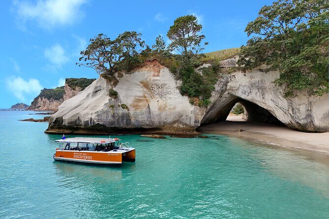 Cathedral Cove Coast and Cave Activity - Key Points