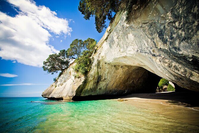 Cathedral Cove & Coromandel Peninsula Small-Group Day Tours - An Honest Look at the Experience