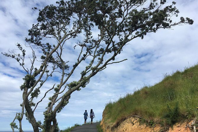 Cathedral Cove Day Trip from Auckland - Key Points