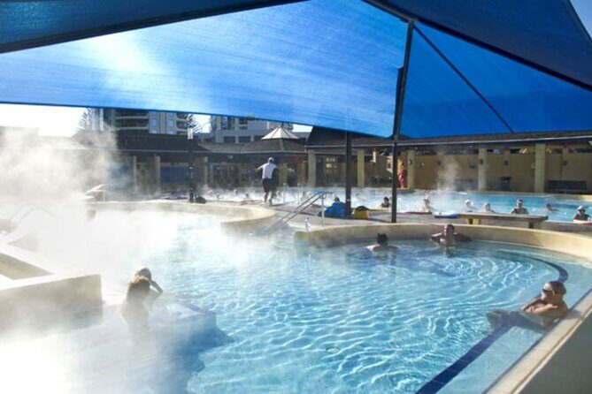Cathedral Cove & Hot Water Beach with Lunch from Auckland - Starting the Day: From Auckland to the Coromandel