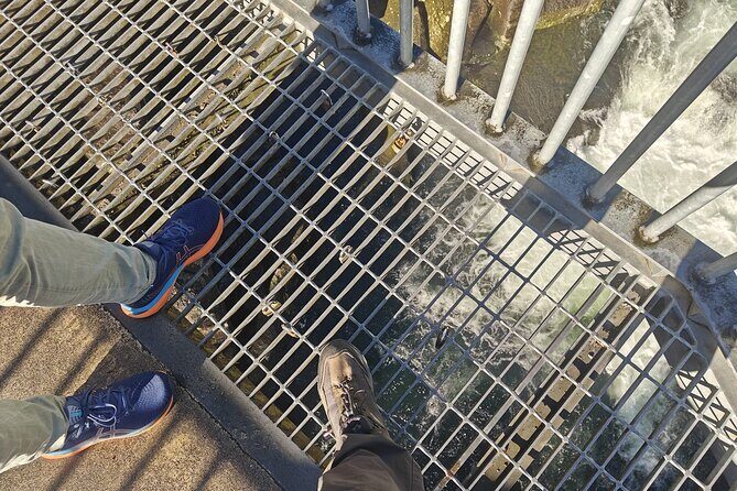 Cathedral Cove & Hot Water Beach with Lunch from Auckland - Lunch by the Coast