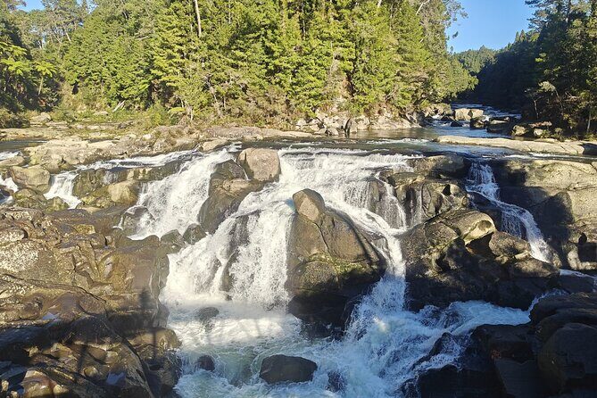 Cathedral Cove & Hot Water Beach with Lunch from Auckland - Return to Auckland