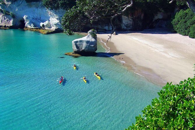 Cathedral Cove Kayak Tour - What’s the Tour All About?