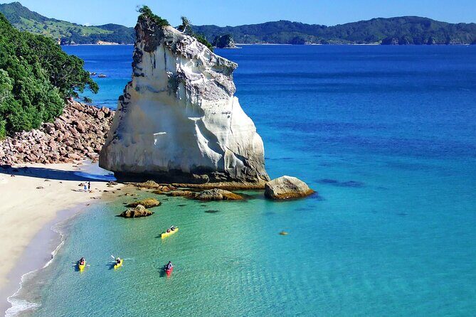 Cathedral Cove Kayak Tour - Who Should Consider This Tour?