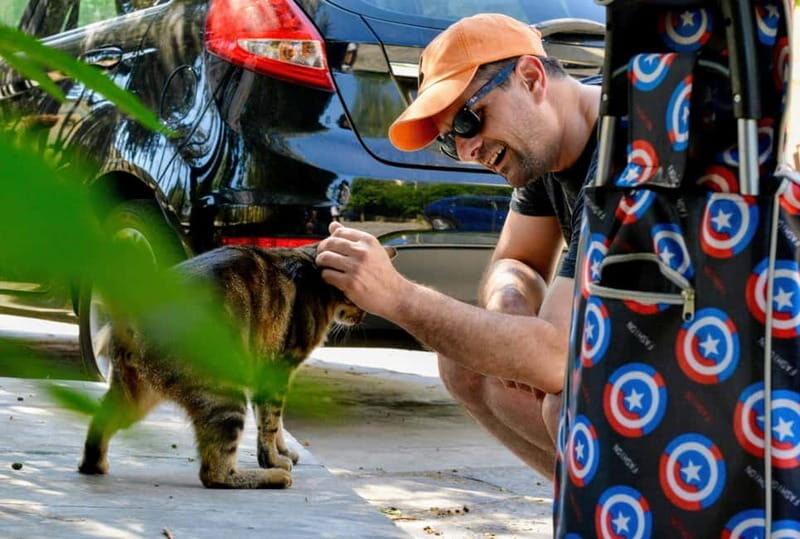 Cats of Athens - Walking Tour - What to Expect from the Tour