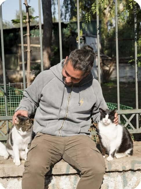Cats of Athens - Walking Tour - Authentic, Responsible Travel in Athens
