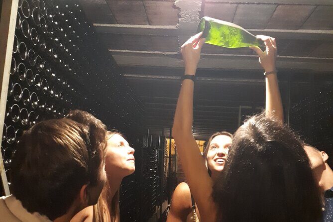 Cava tour to 3 family wineries with hotel pick-up - A Friendly Look at the Cava Tour to 3 Family Wineries Near Barcelona