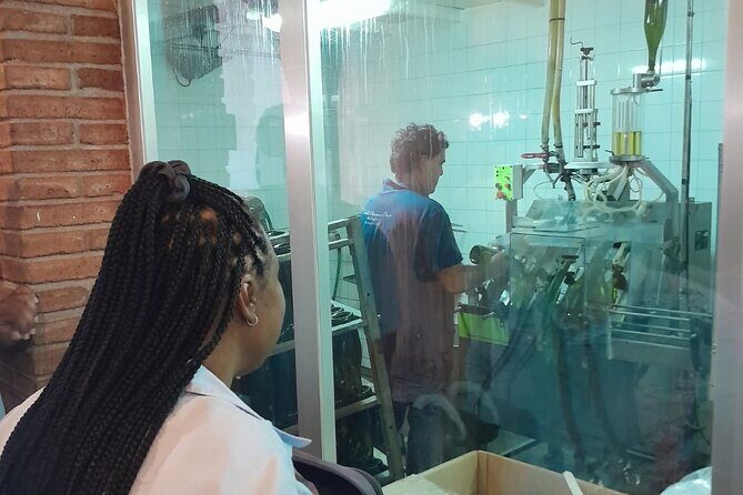 Cava tour to 3 family wineries with hotel pick-up - What You Can Expect from This Cava Tour