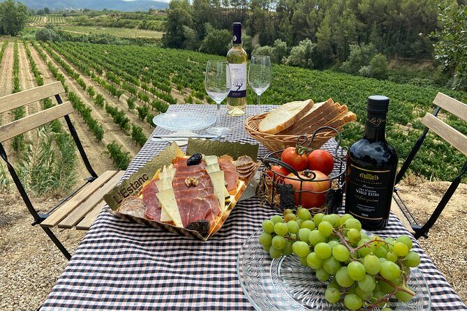 Cava tour to 3 family wineries with hotel pick-up - Final Thoughts