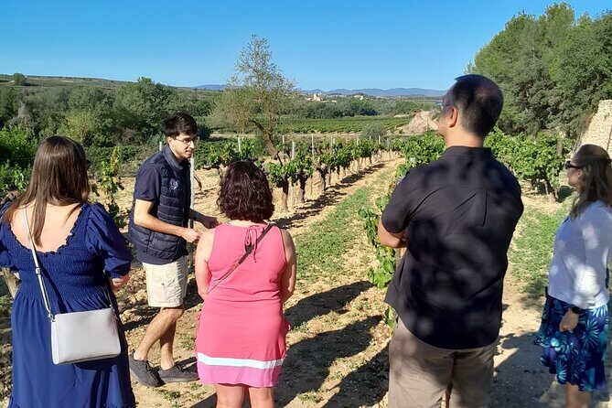 Cava tour to 3 family wineries with hotel pick-up - Final Recommendations