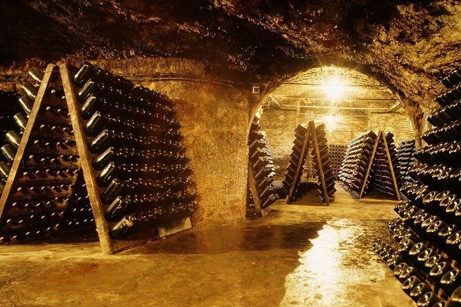 Cavas Freixenet Wine Tour from Mexico City - A Detailed Look at the Cavas Freixenet Wine Tour from Mexico City