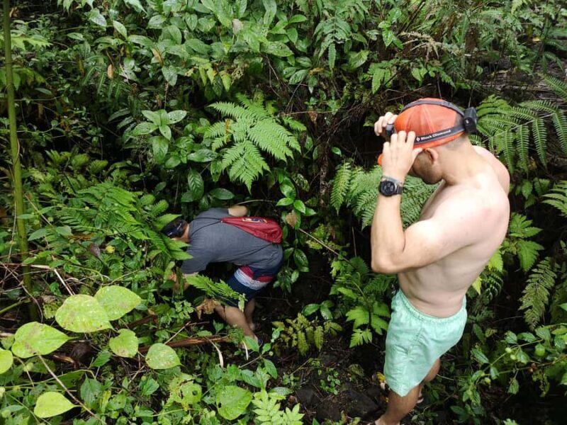 Cave Pool & Lava Tube Swims of Upolu - The Experience in Detail