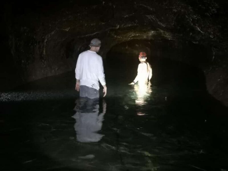 Cave Pool & Lava Tube Swims of Upolu - Authentic Feedback and Insights