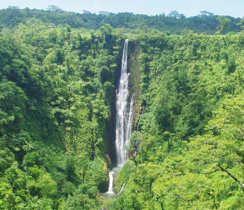 Cave Pool & Lava Tube Swims of Upolu - Final Thoughts