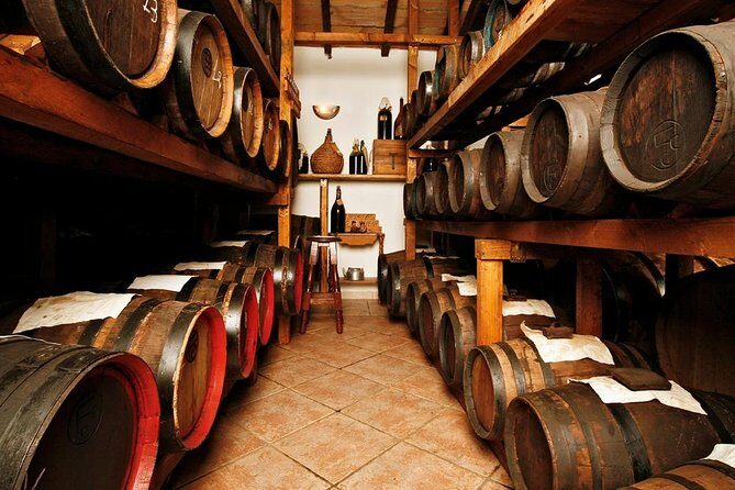 Cavedoni Balsamic Vinegar Tour: The Oldest in Modena - Discovering Balsamic in Modena: The Cavedoni Vinegar Tour