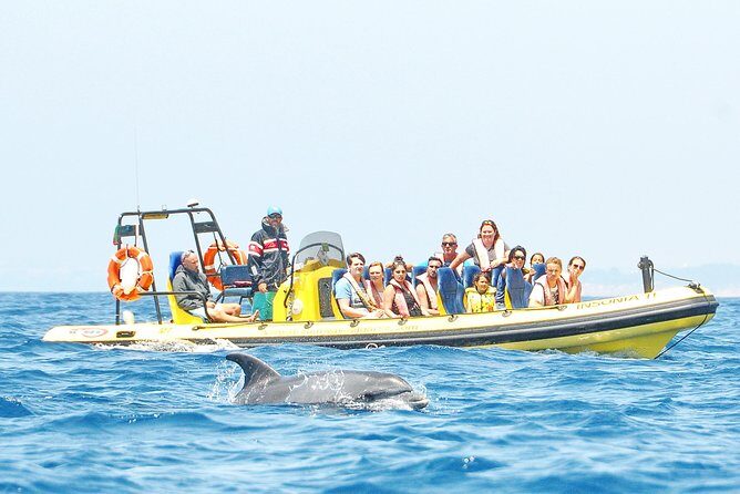 Caves and Dolphin Watching Cruise from Albufeira - The Real Worth of the Cost