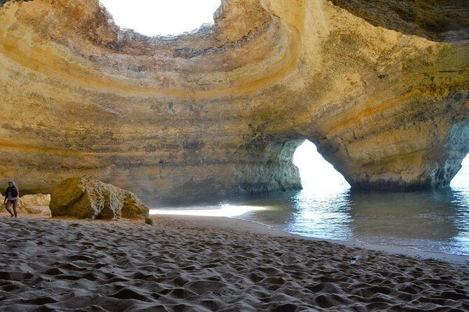 Caves and Dolphin Watching Cruise from Albufeira - Who Will Love This Tour?