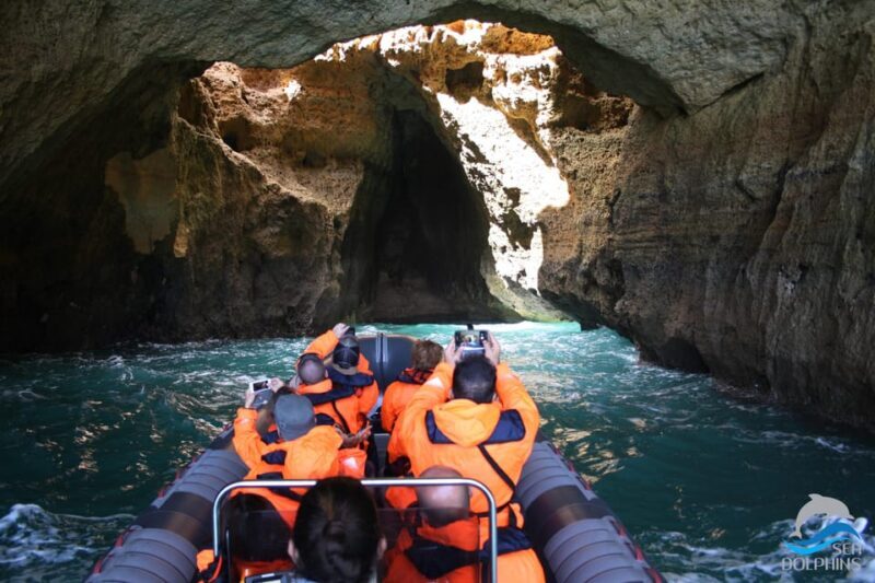 Caves & Dolphins - Combined Trip - The Practicalities: What You Need to Know