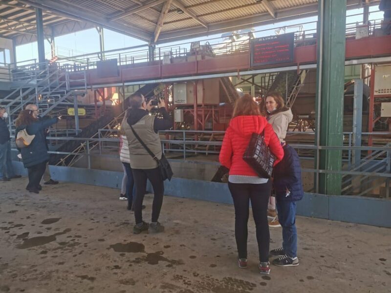 Cazorla: Oleotour - Olive Oil Culture Initiation - Key Points