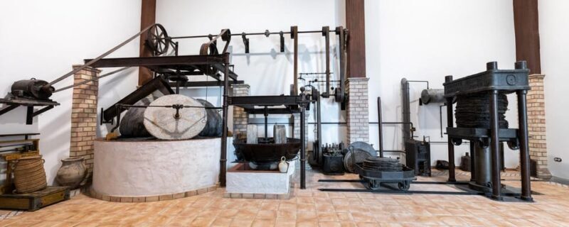 Cazorla: Oleotour - Olive Oil Culture Initiation - A Closer Look at the Oleotour Cazorla Experience