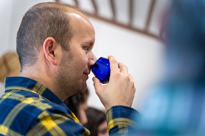 Cazorla: Tour and Tasting at 1 of the Largest Oil Factories - What We Loved About This Tour