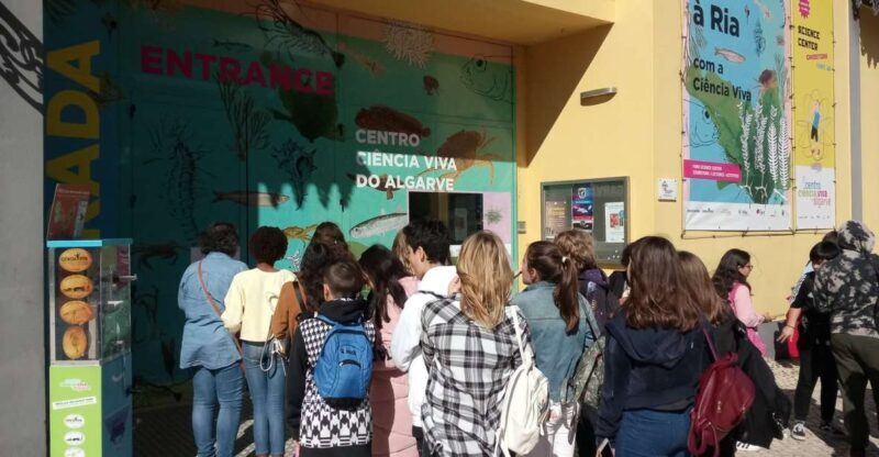 CCVAlgarve Individual Ticket - What You Can Expect from the CCVAlgarve Tour