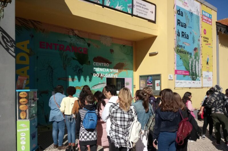 CCVAlgarve Individual Ticket - Final Thoughts