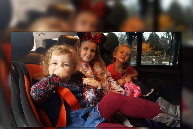 CDG - Euro Disney - CDG Two Way Private Shuttle Transfer - Why Choose This Private Shuttle?